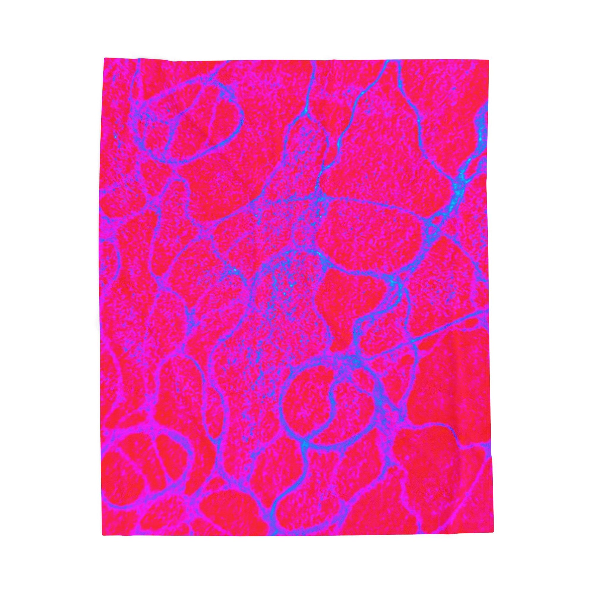Colorful Plush Blanket | Cozy Velveteen Throw | Modern Home Decor